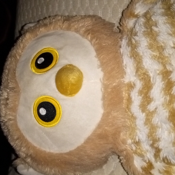 A stuff owl 🦉 - Picture 2 of 5